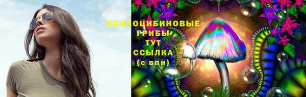 хмурый Горно-Алтайск