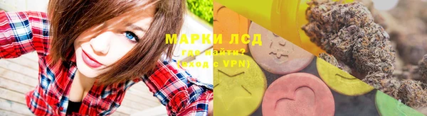 apvp Горняк