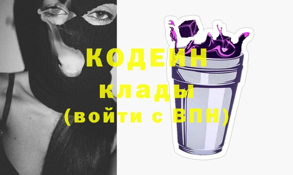 apvp Горняк