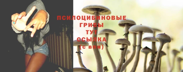хмурый Горно-Алтайск