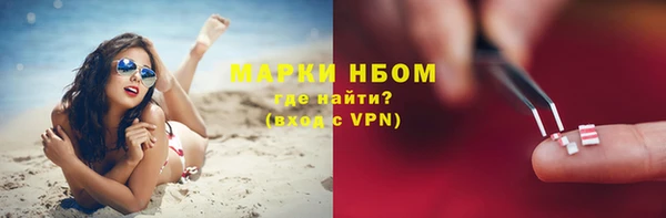 apvp Горняк