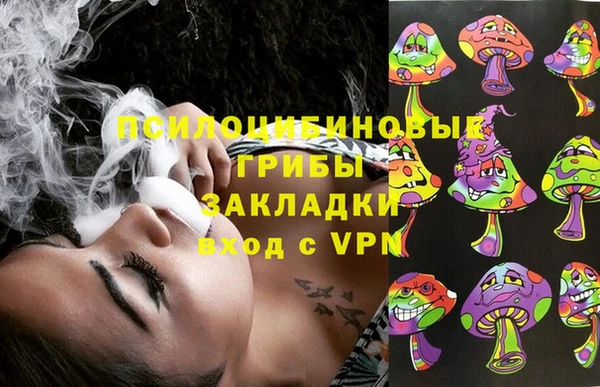 хмурый Горно-Алтайск