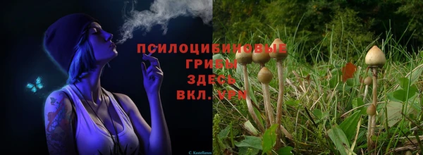 apvp Горняк
