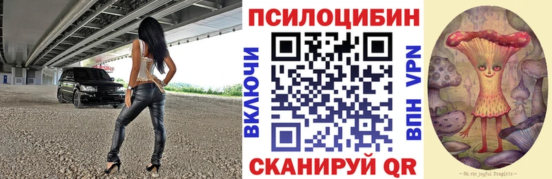 Псилоцибиновые грибы мицелий  Купить где  Кукмор 